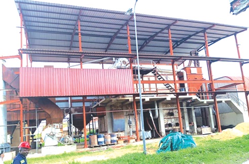 Govt to revamp Buipe PBC Shea Factory